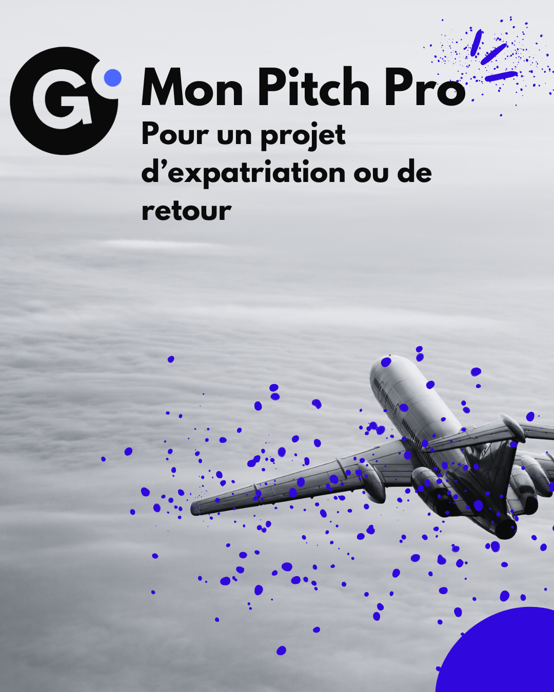 ✅ Mon Pitch Pro – 30 min pour convaincre ! Pour un projet d’expatriation ou de retour