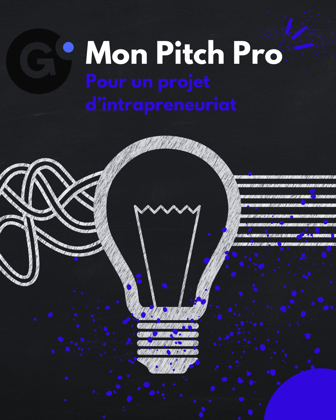 ✅ Mon Pitch Pro – 30 min pour convaincre ! Pour un projet d&rsquo;intrapreneuriat