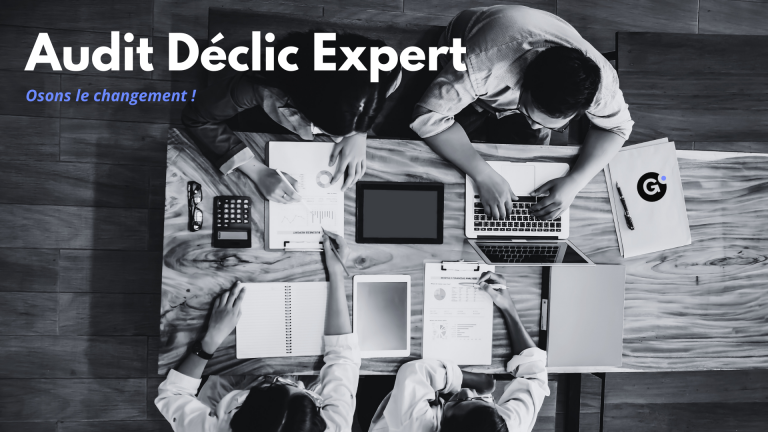 Audit Déclic Expert - Cadrage visio